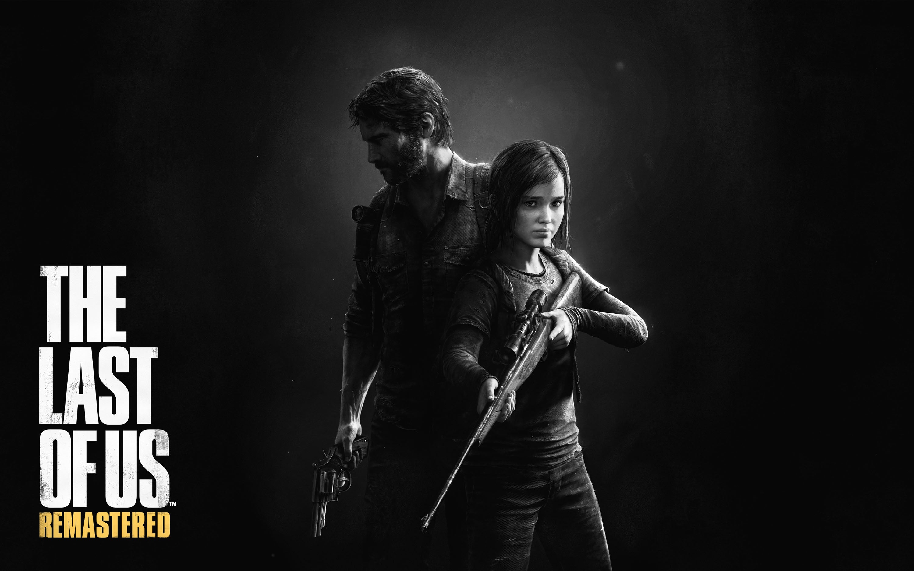 The Last Of Us 009 - cuadro gamer decorativo en canvas