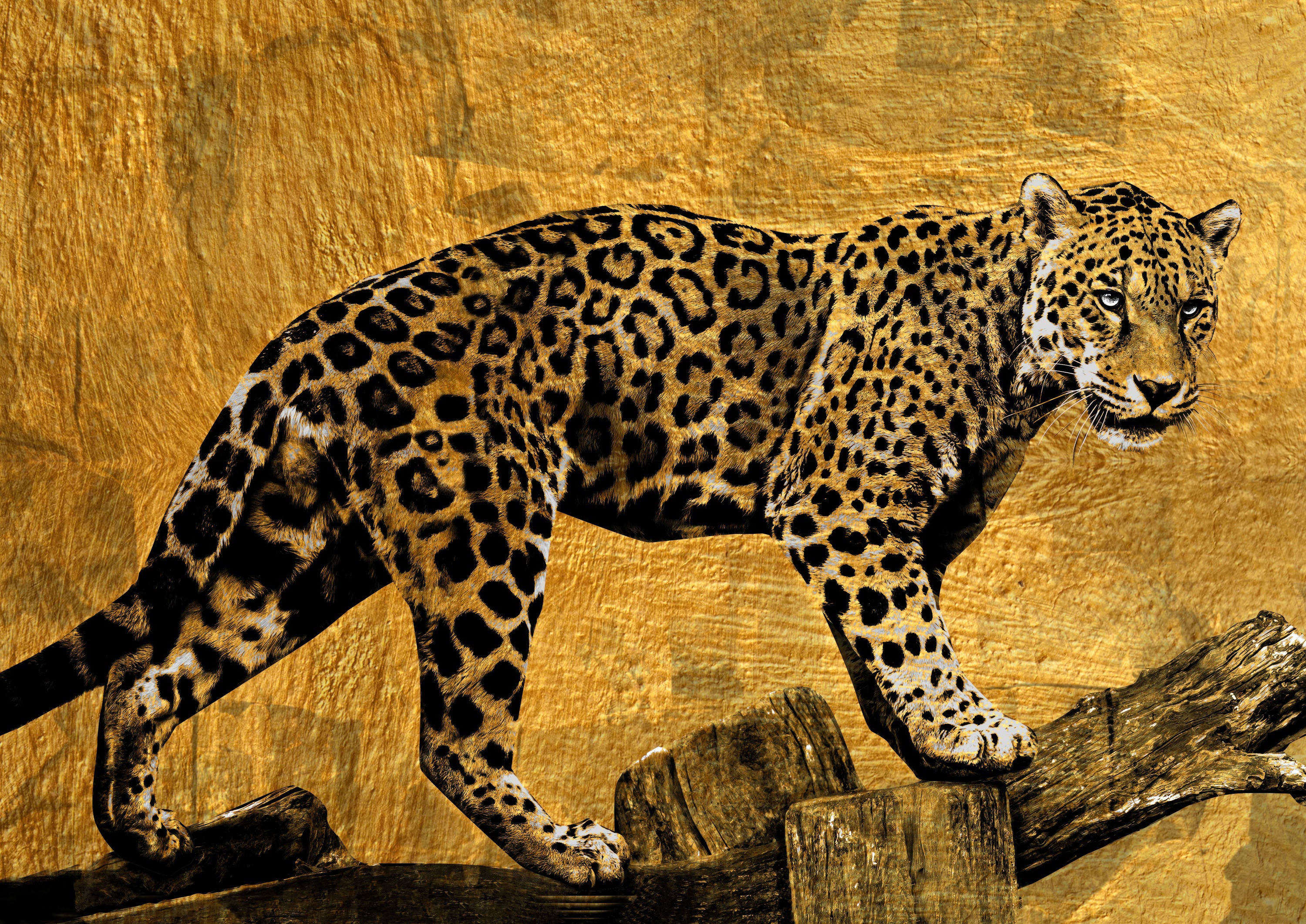 Negro y Dorado 183 - cuadro decorativo en canvas