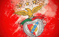 Benfica 005 - cuadro decorativo en canvas