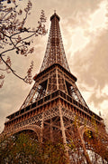 Torre Eiffel 009 - Cuadro canvas Canvaradas