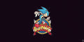 Sonic 020 - cuadro gamer decorativo en canvas