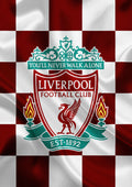 Liverpool 002 - cuadro decorativo en canvas