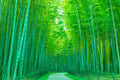 Naturaleza 060