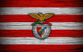 Benfica 012 - cuadro decorativo en canvas