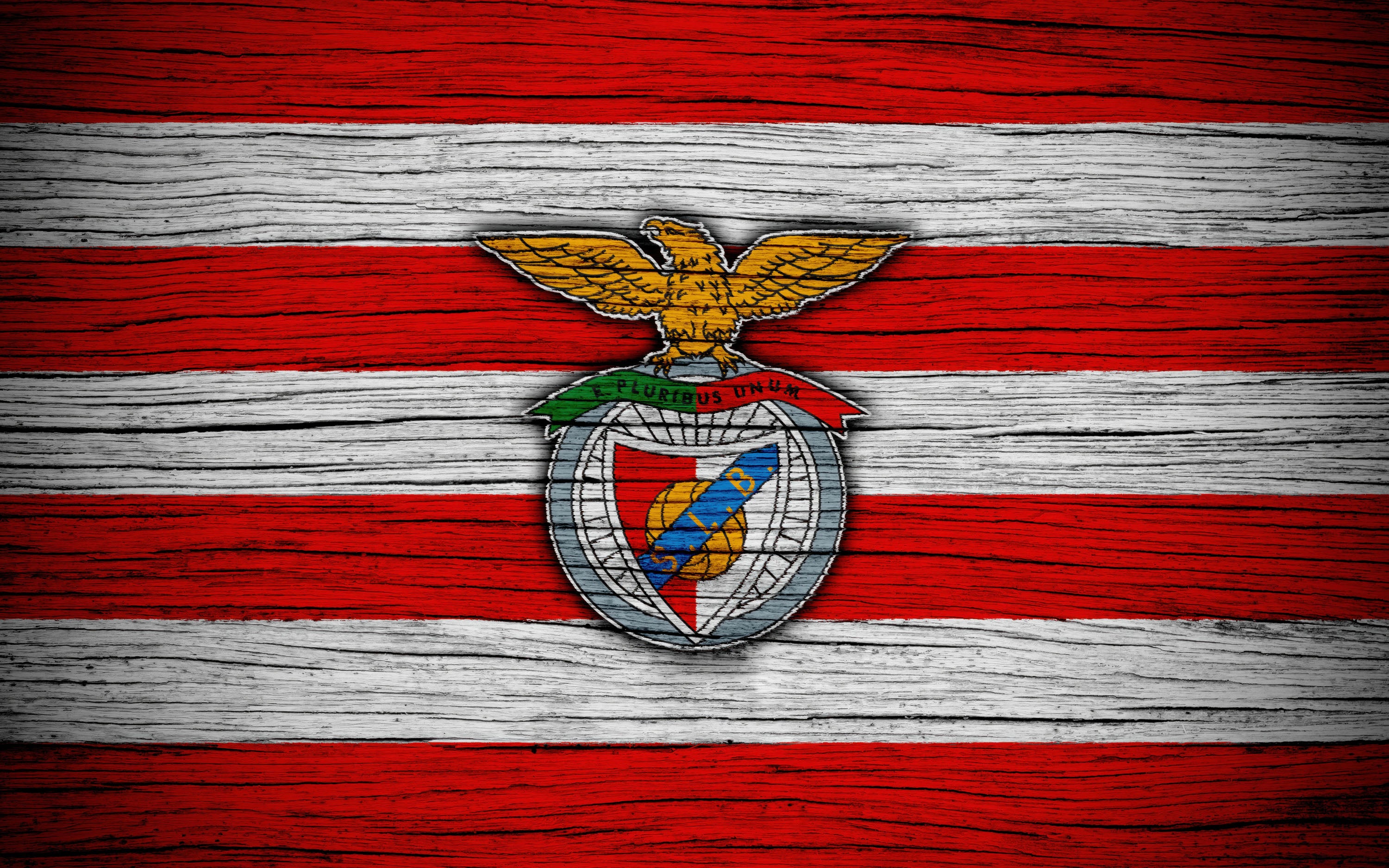 Benfica 012 - cuadro decorativo en canvas