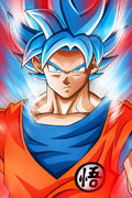 Dragon Ball 017