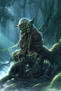 Star Wars 056 - cuadro decorativo en canvas
