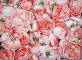 Flores 177 - Cuadro canvas Canvaradas