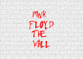 Pink Floyd 001 - cuadro decorativo en canvas