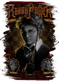 Harry Potter 035 - cuadro decorativo en canvas