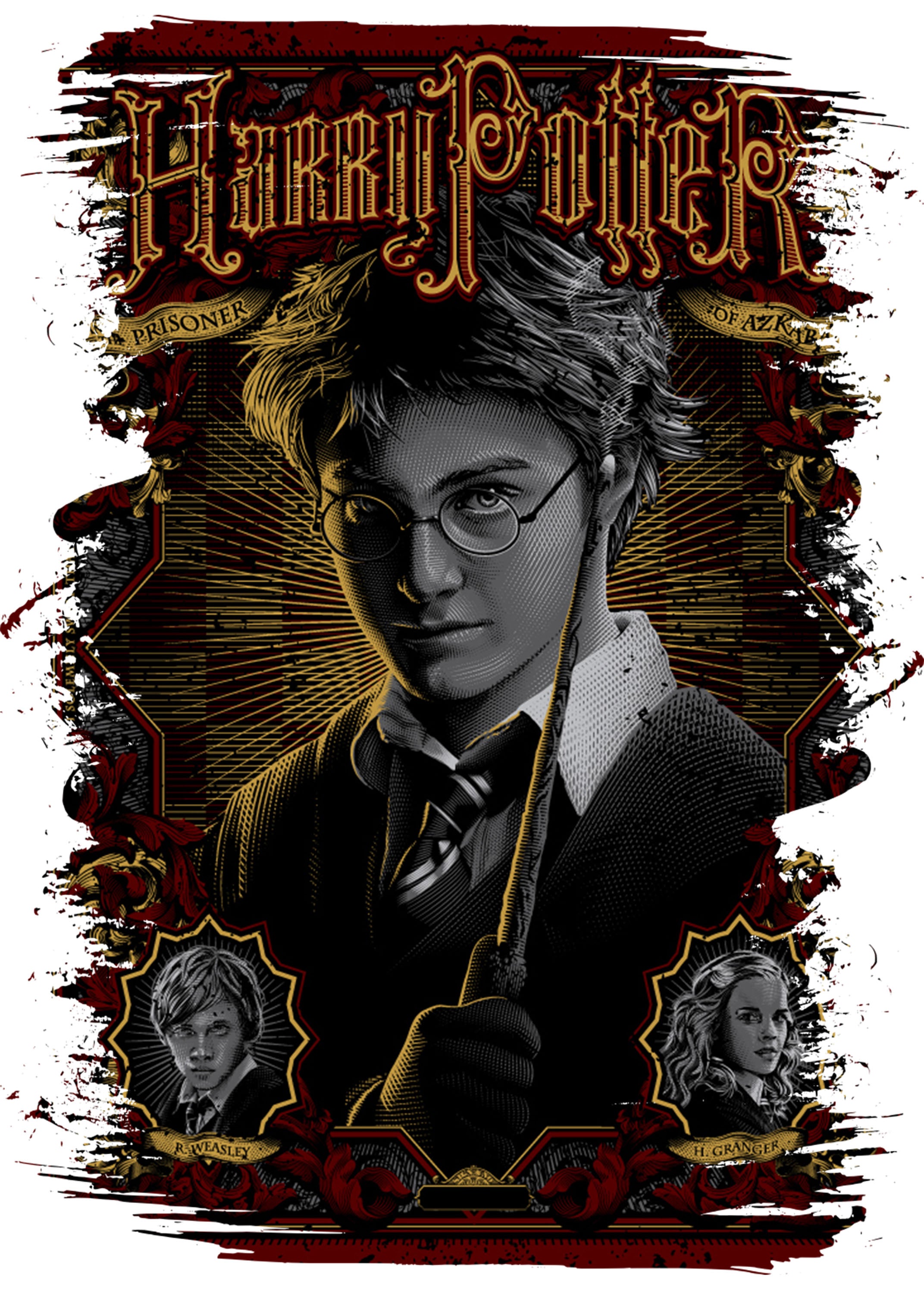 Harry Potter 035 - cuadro decorativo en canvas