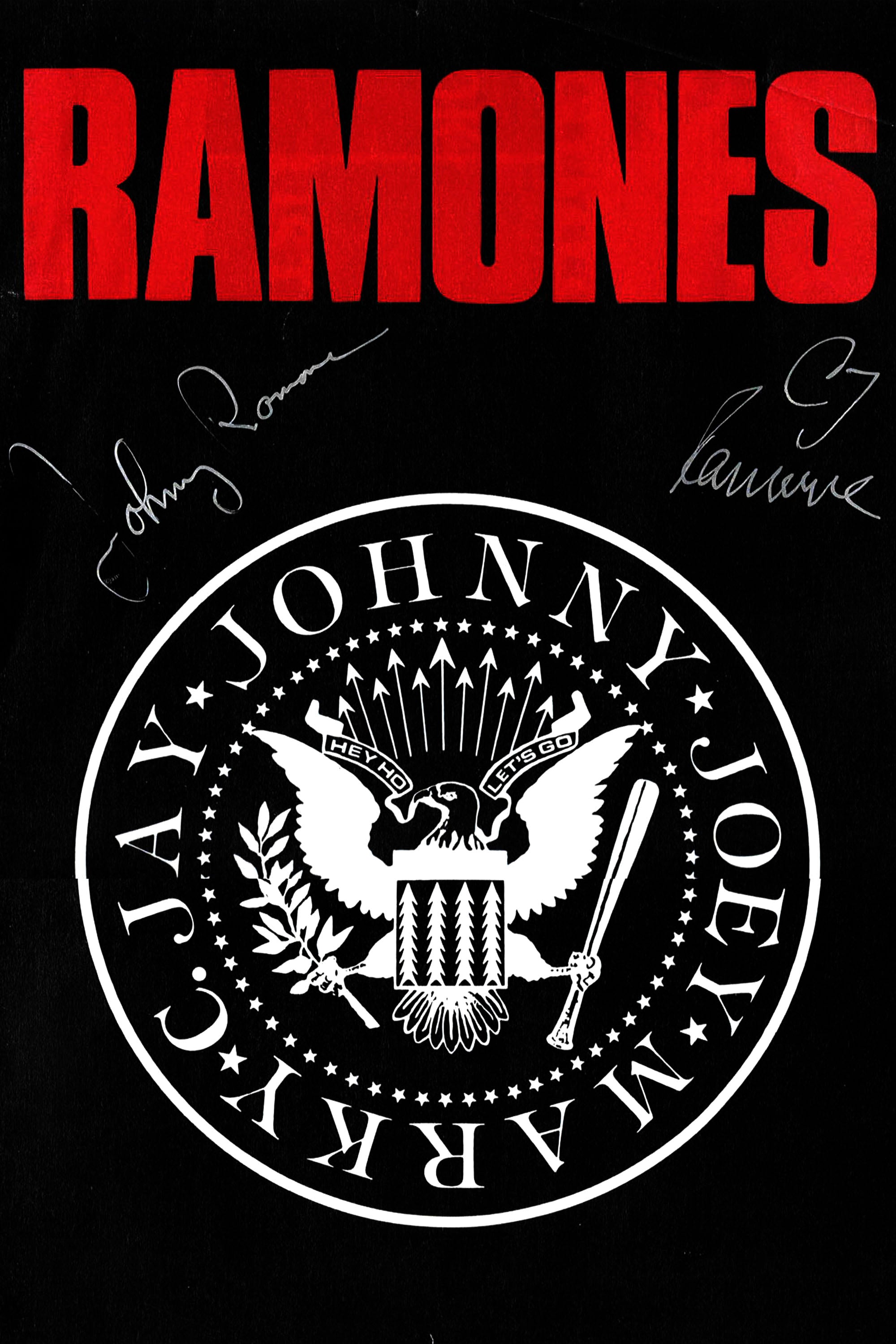 Ramones 002 - cuadro decorativo en canvas