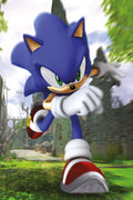 Sonic 028 - cuadro gamer decorativo en canvas