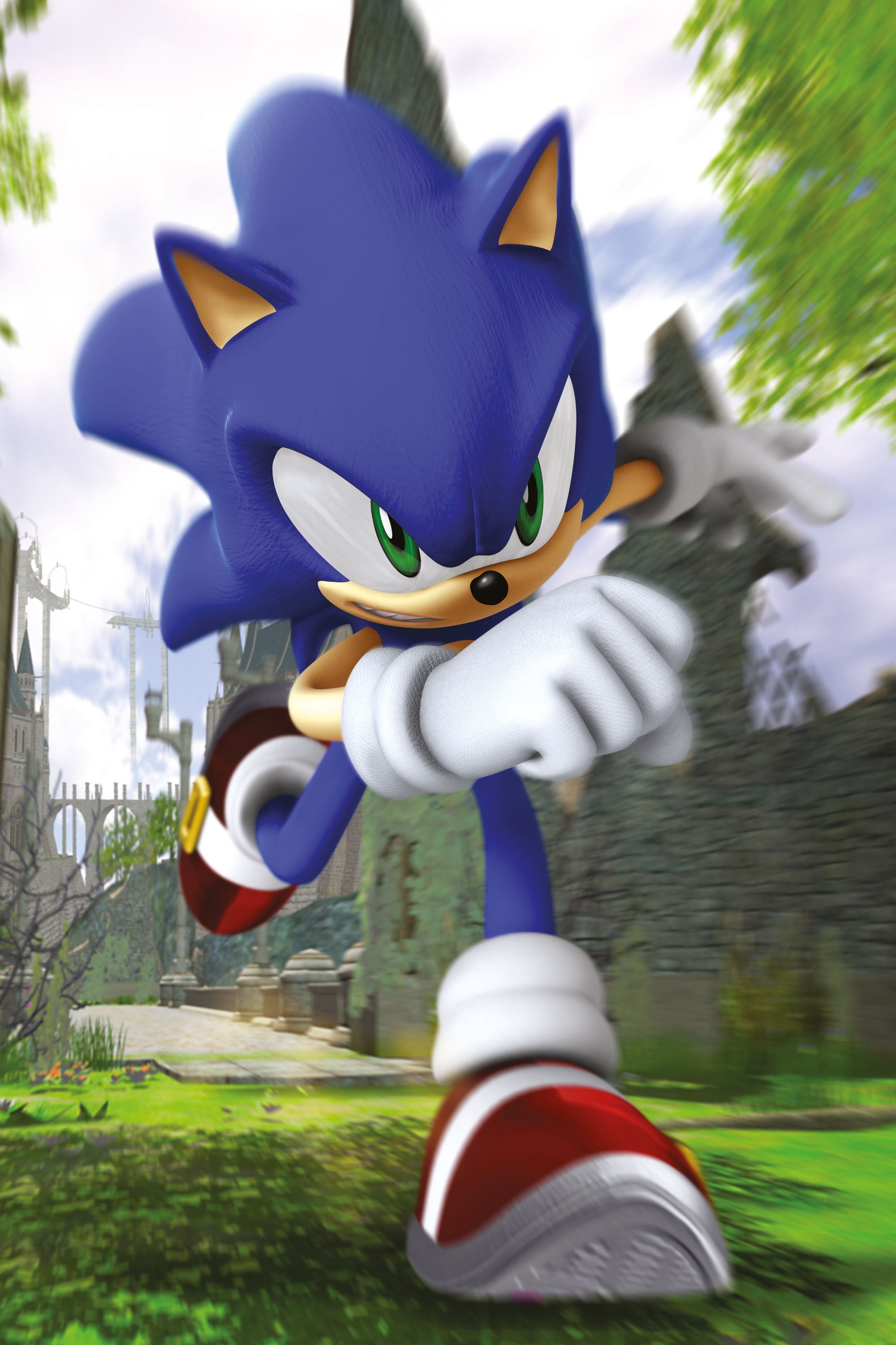Sonic 028 - cuadro gamer decorativo en canvas