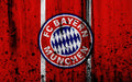 Bayern Múnich 008 - cuadro decorativo en canvas