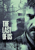 The Last Of Us 001 - cuadro gamer decorativo en canvas