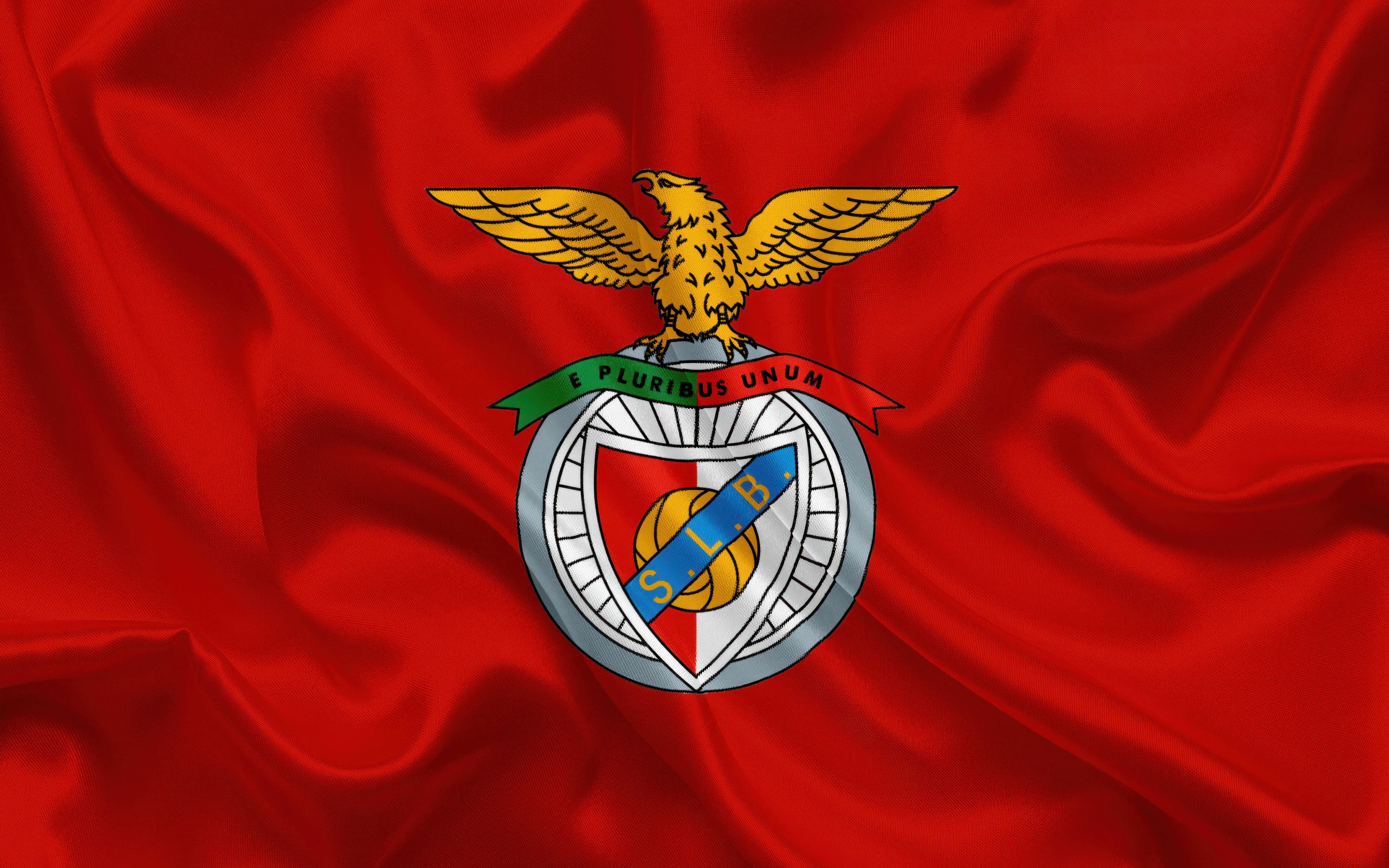 Benfica 009 - cuadro decorativo en canvas