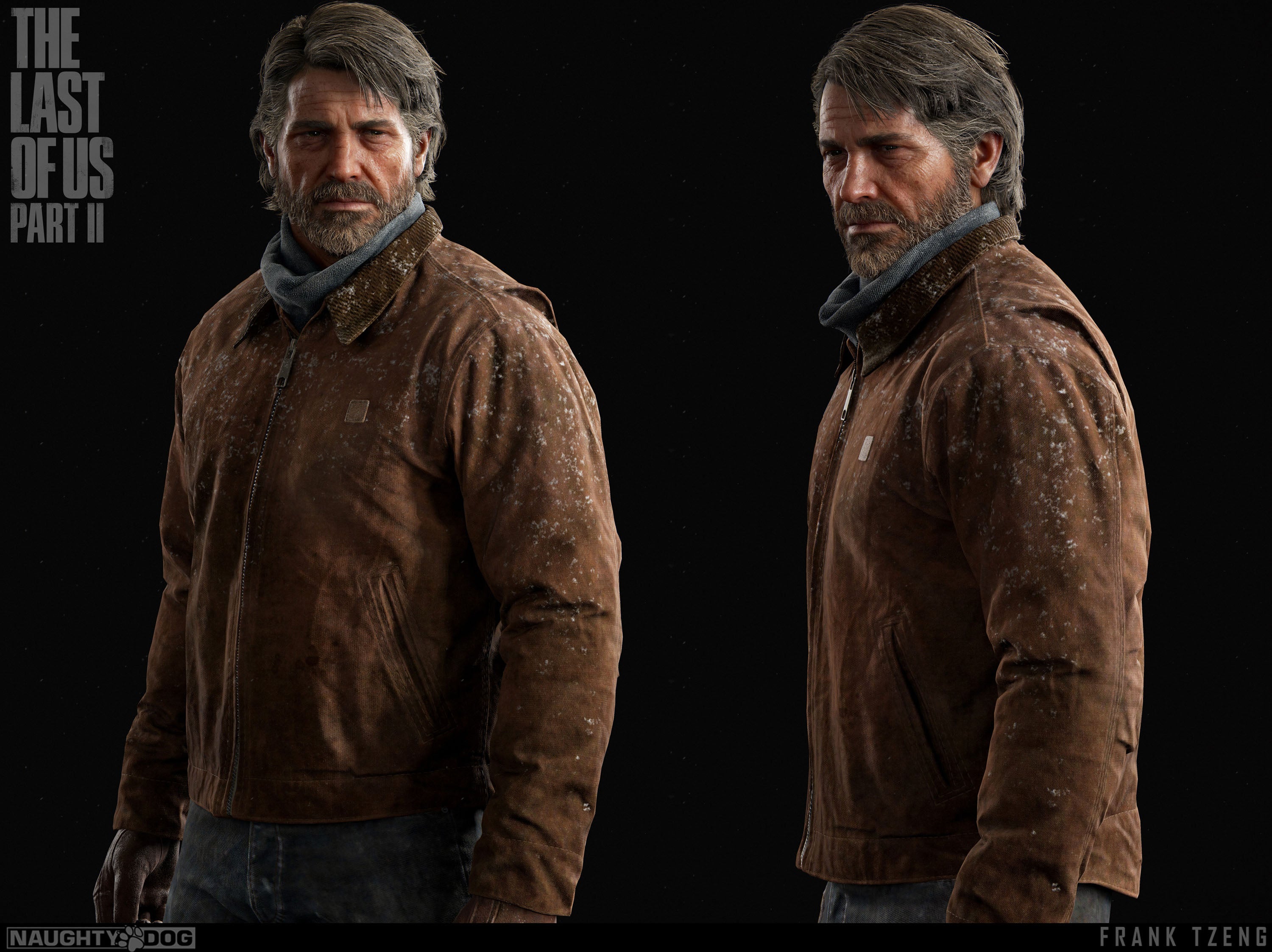 The Last Of Us 023 - cuadro gamer decorativo en canvas