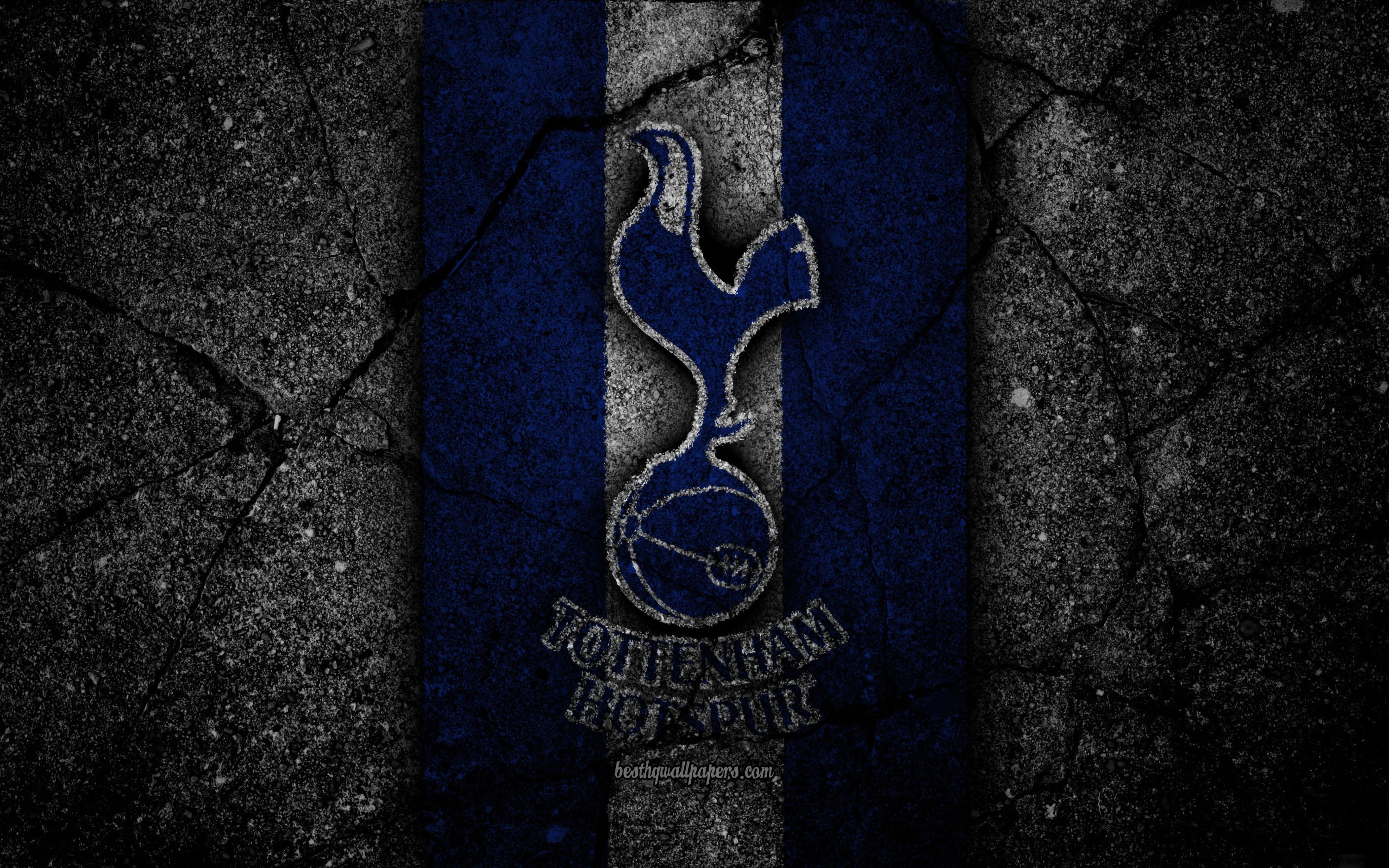 Tottenham 009 - cuadro decorativo en canvas