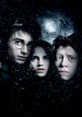 Harry Potter 002 - cuadro decorativo en canvas