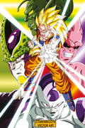 Dragon Ball 013