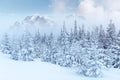 Nieve 024 - Cuadro canvas Canvaradas