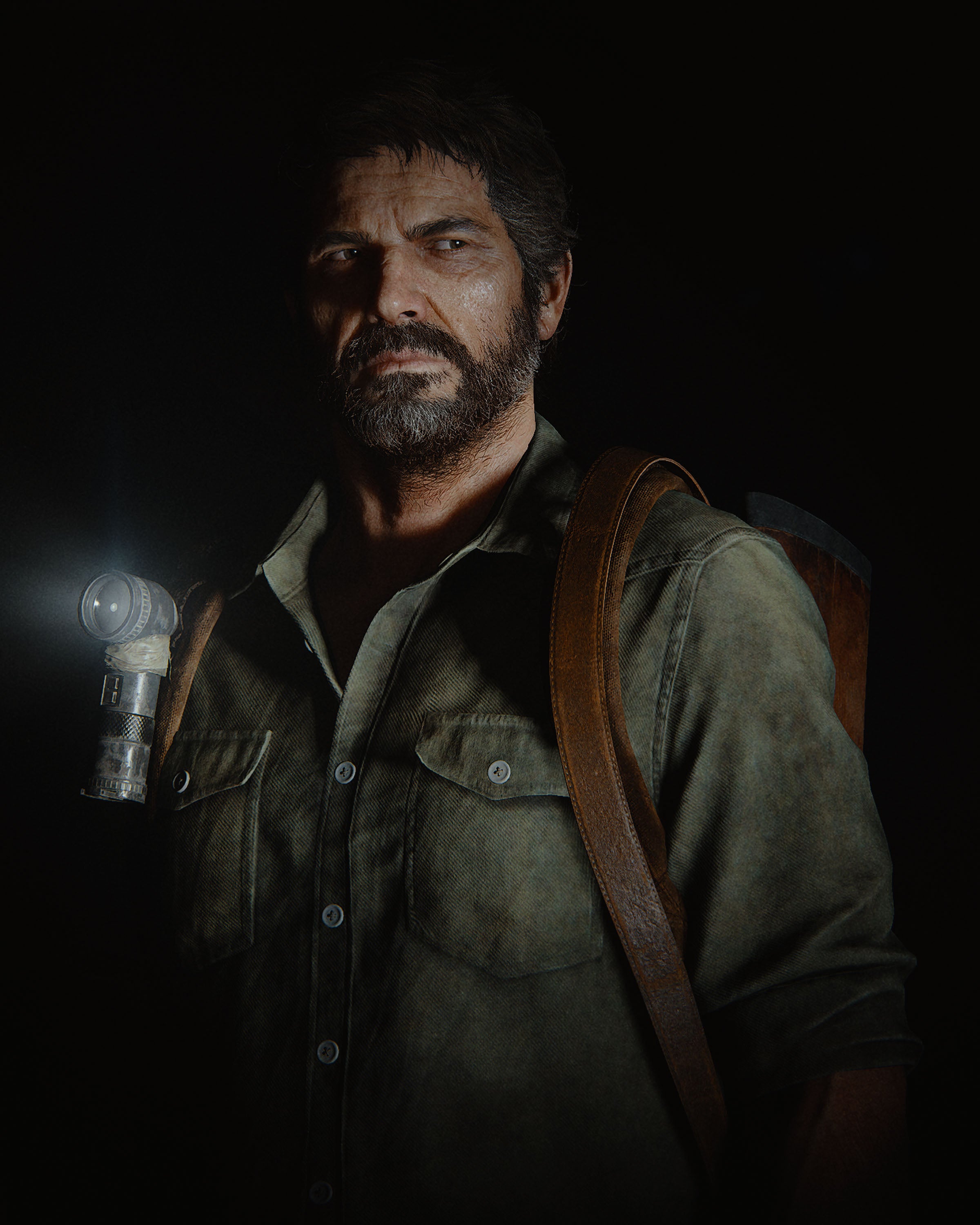 The Last Of Us 030 - cuadro gamer decorativo en canvas