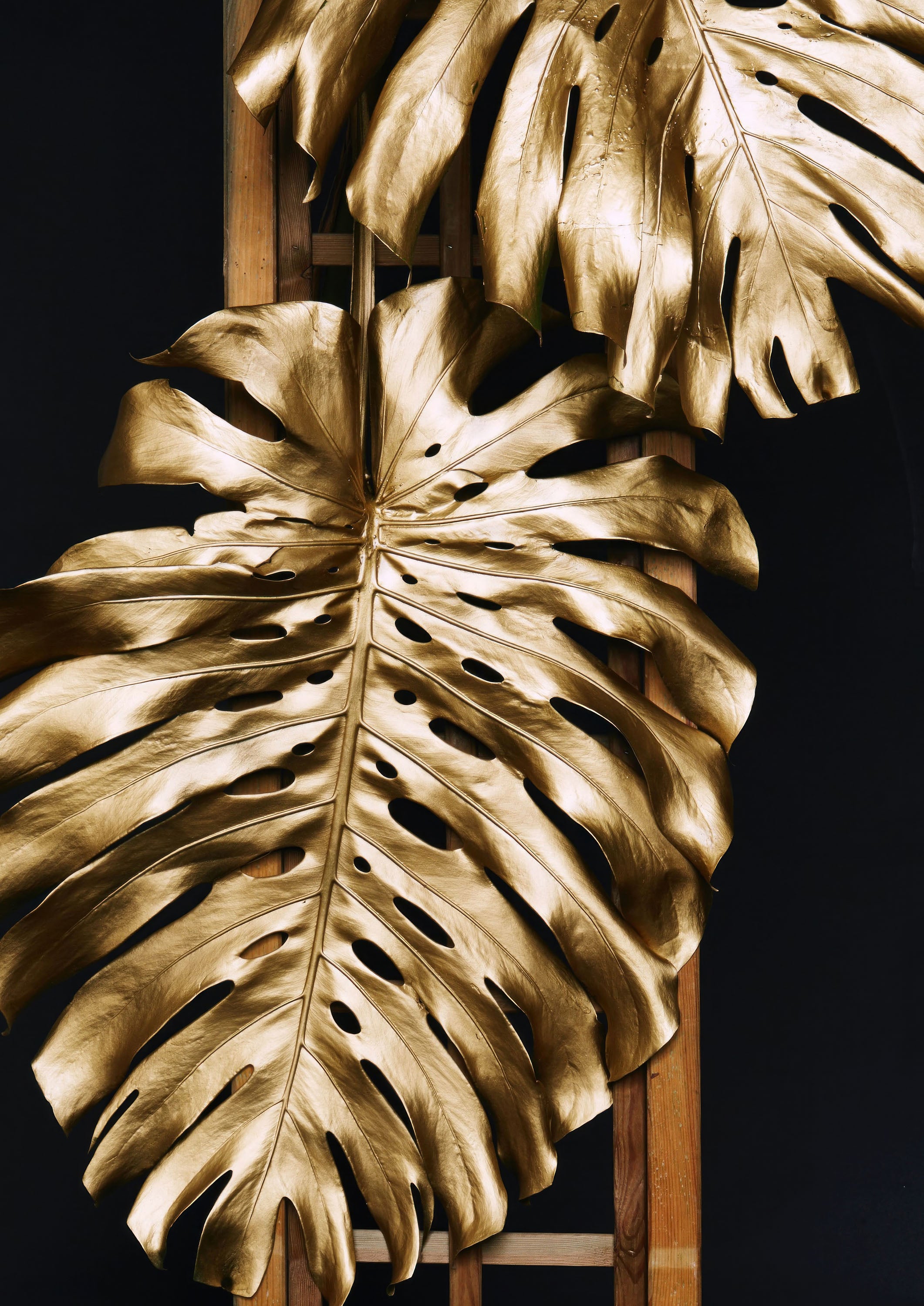 Negro y Dorado 056 - cuadro decorativo en canvas