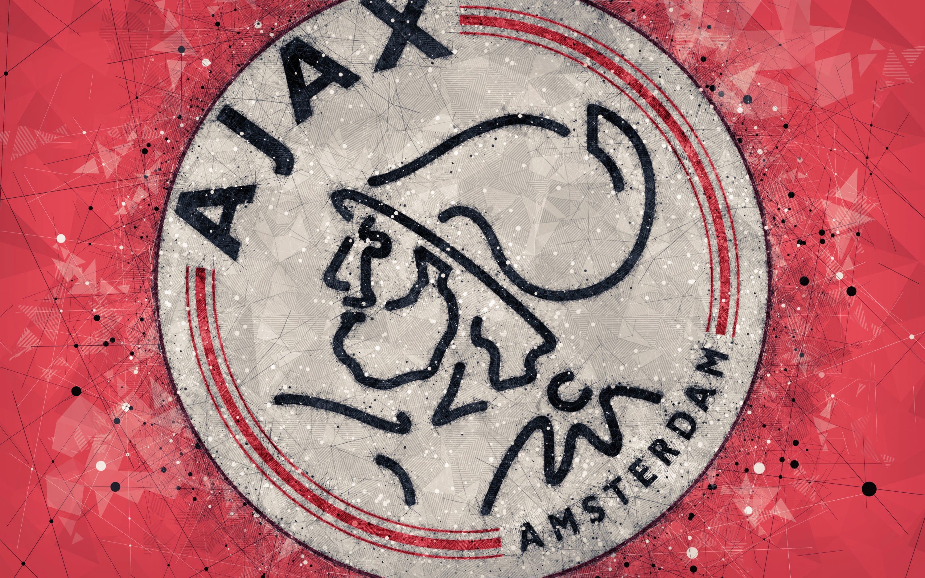Ajax 006 - cuadro decorativo en canvas