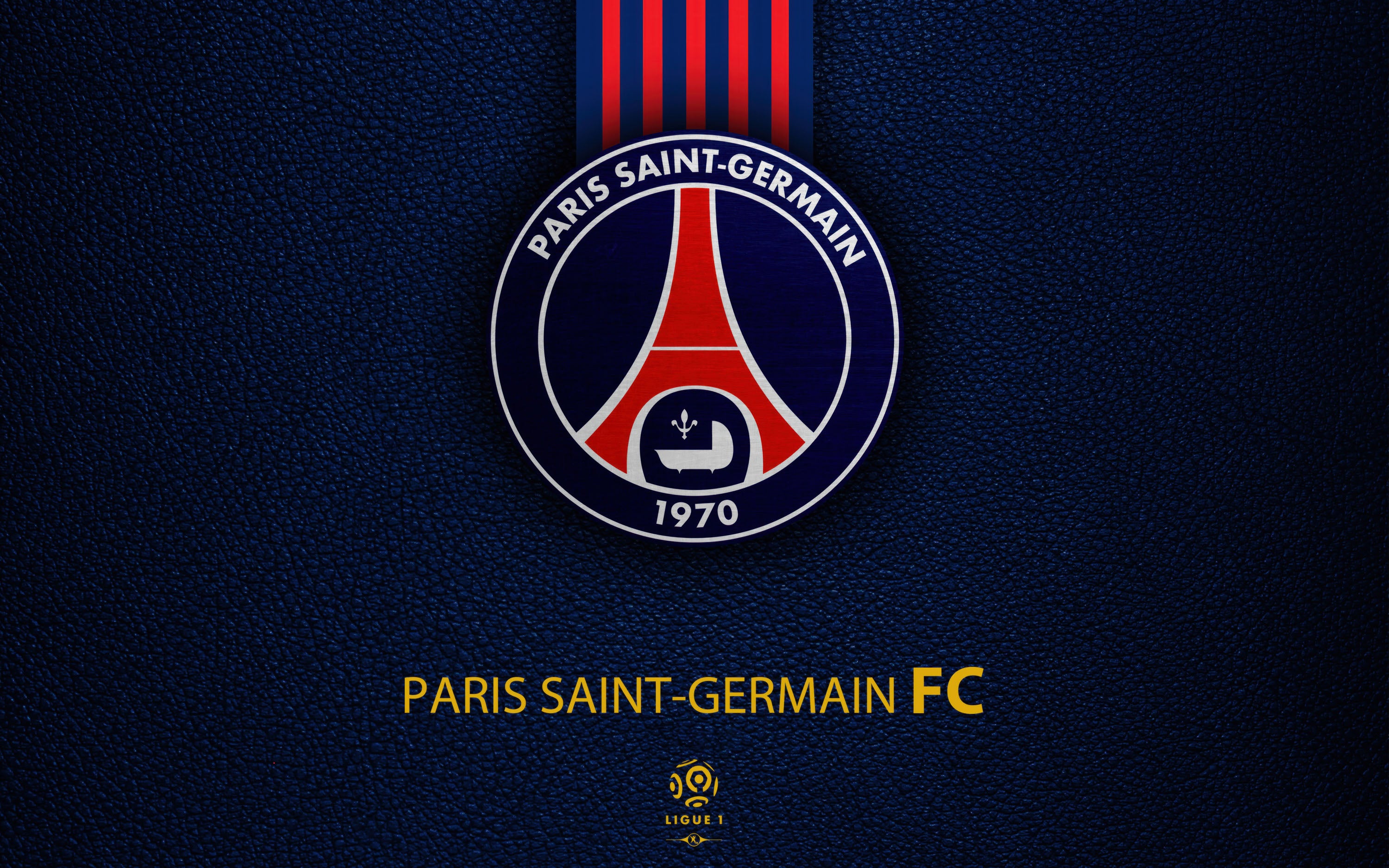 Paris Saint-Germain 010 - cuadro decorativo en canvas