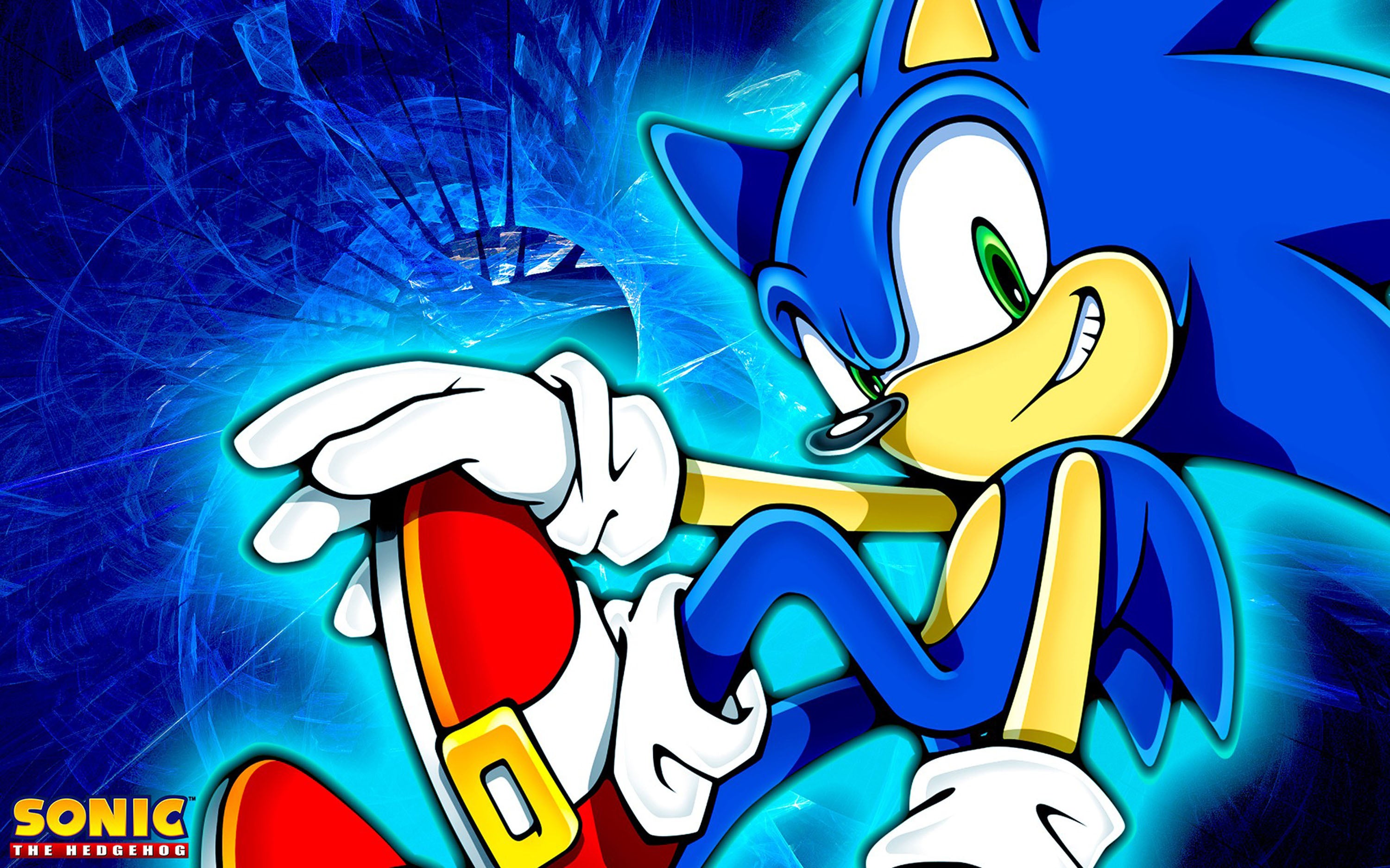 Sonic 010 - cuadro gamer decorativo en canvas