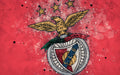 Benfica 010 - cuadro decorativo en canvas