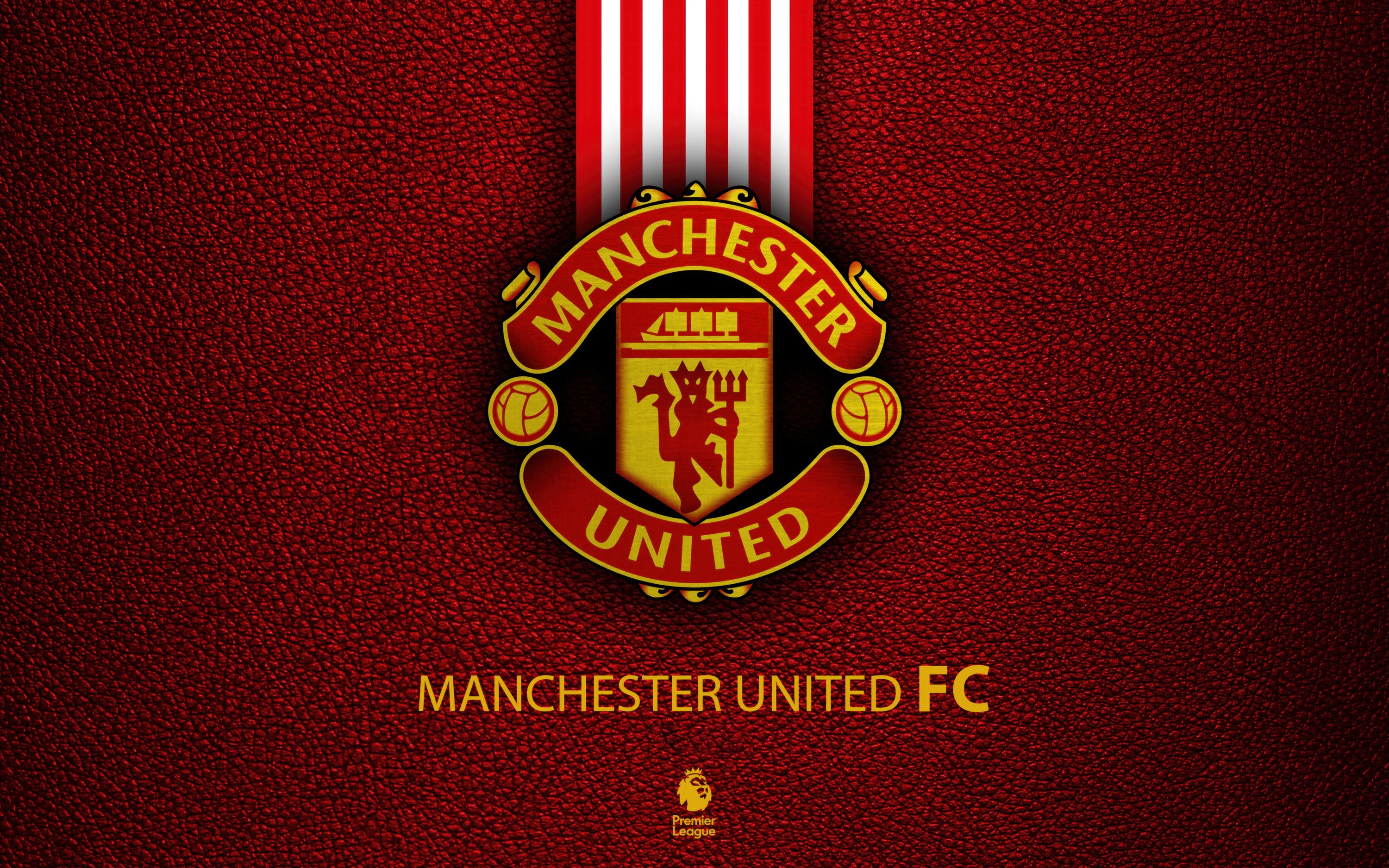Manchester United 010 - cuadro decorativo en canvas