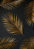 Negro y Dorado 057 - cuadro decorativo en canvas