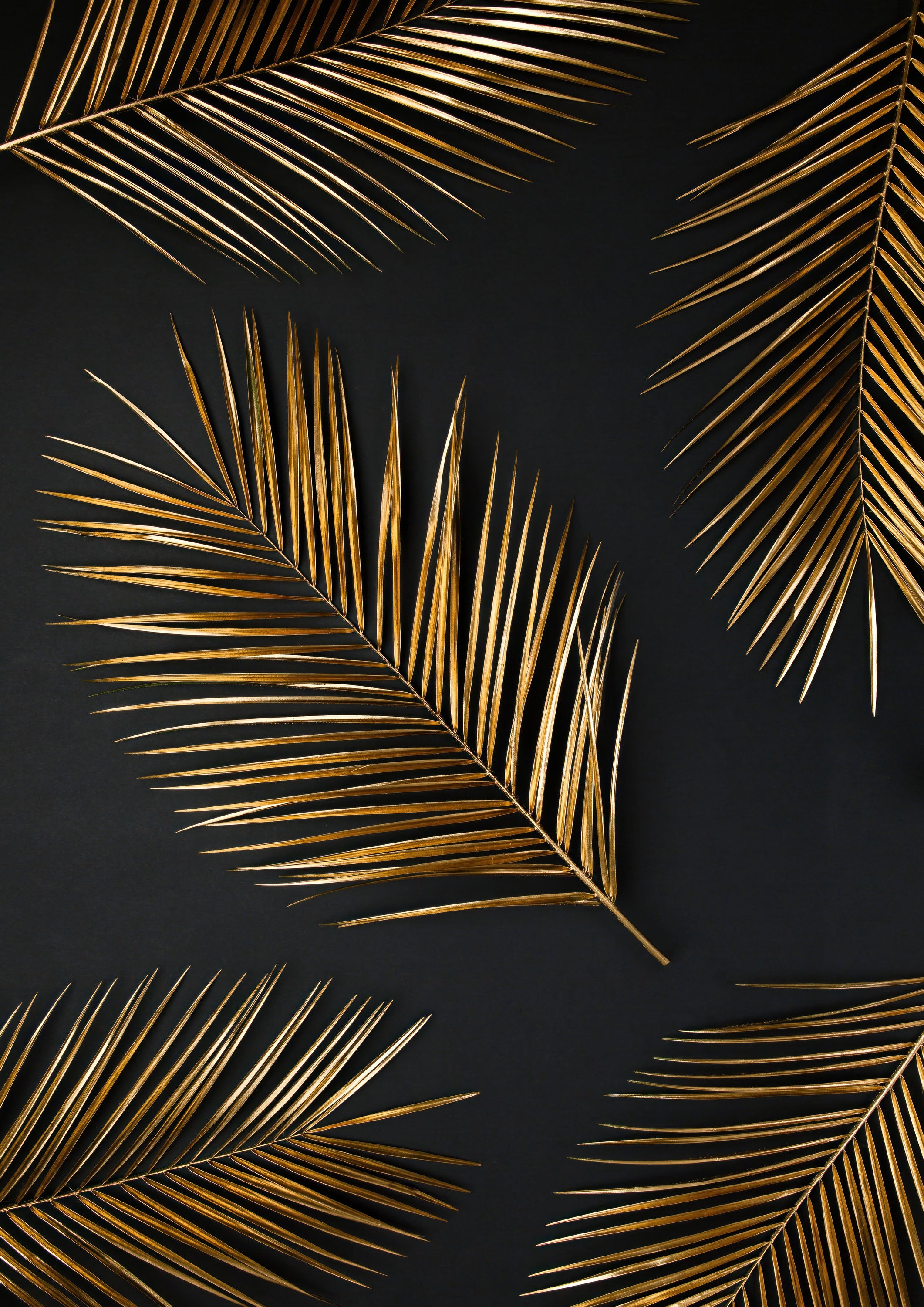 Negro y Dorado 057 - cuadro decorativo en canvas