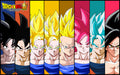 Dragon Ball 027