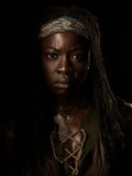 The Walking Dead 007 - cuadro decorativo en canvas