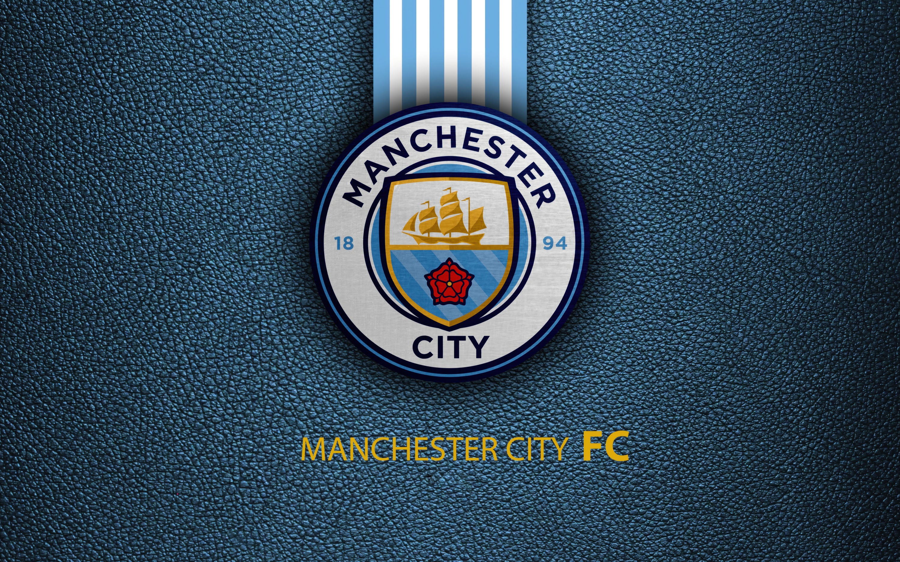Manchester City 008 - cuadro decorativo en canvas