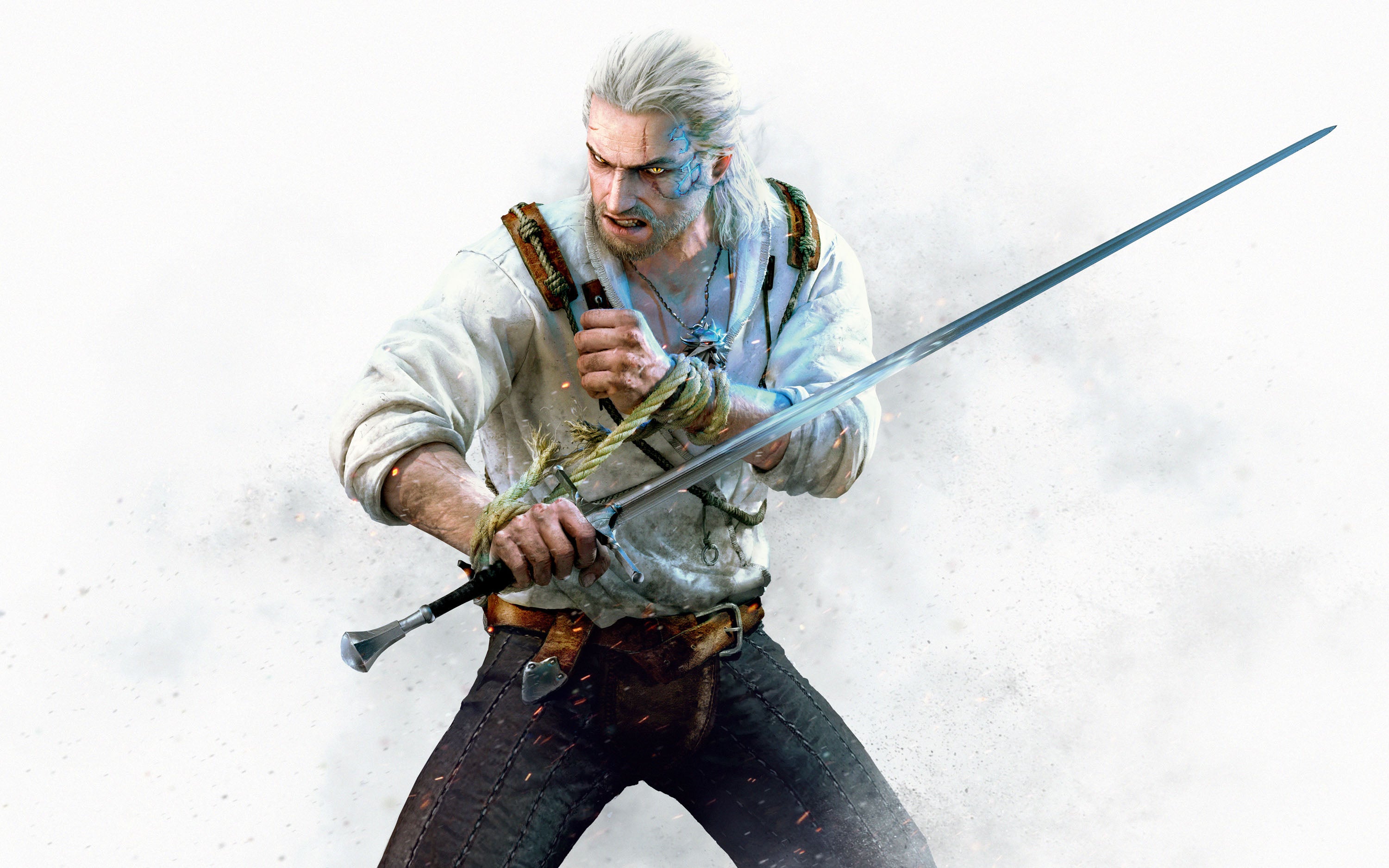The Witcher 002 - cuadro gamer decorativo en canvas