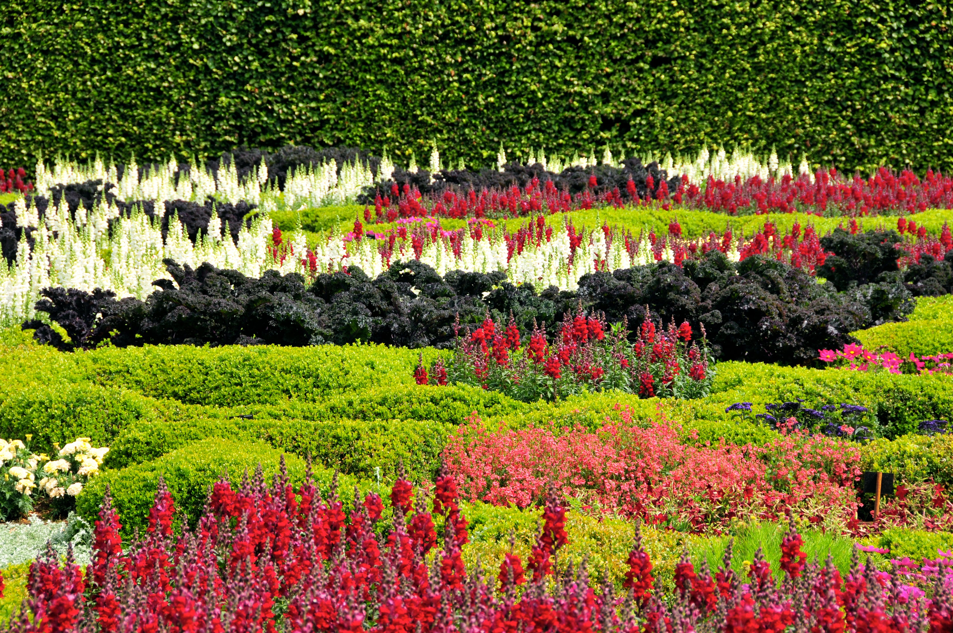 Naturaleza 019 - Cuadro canvas Canvaradas