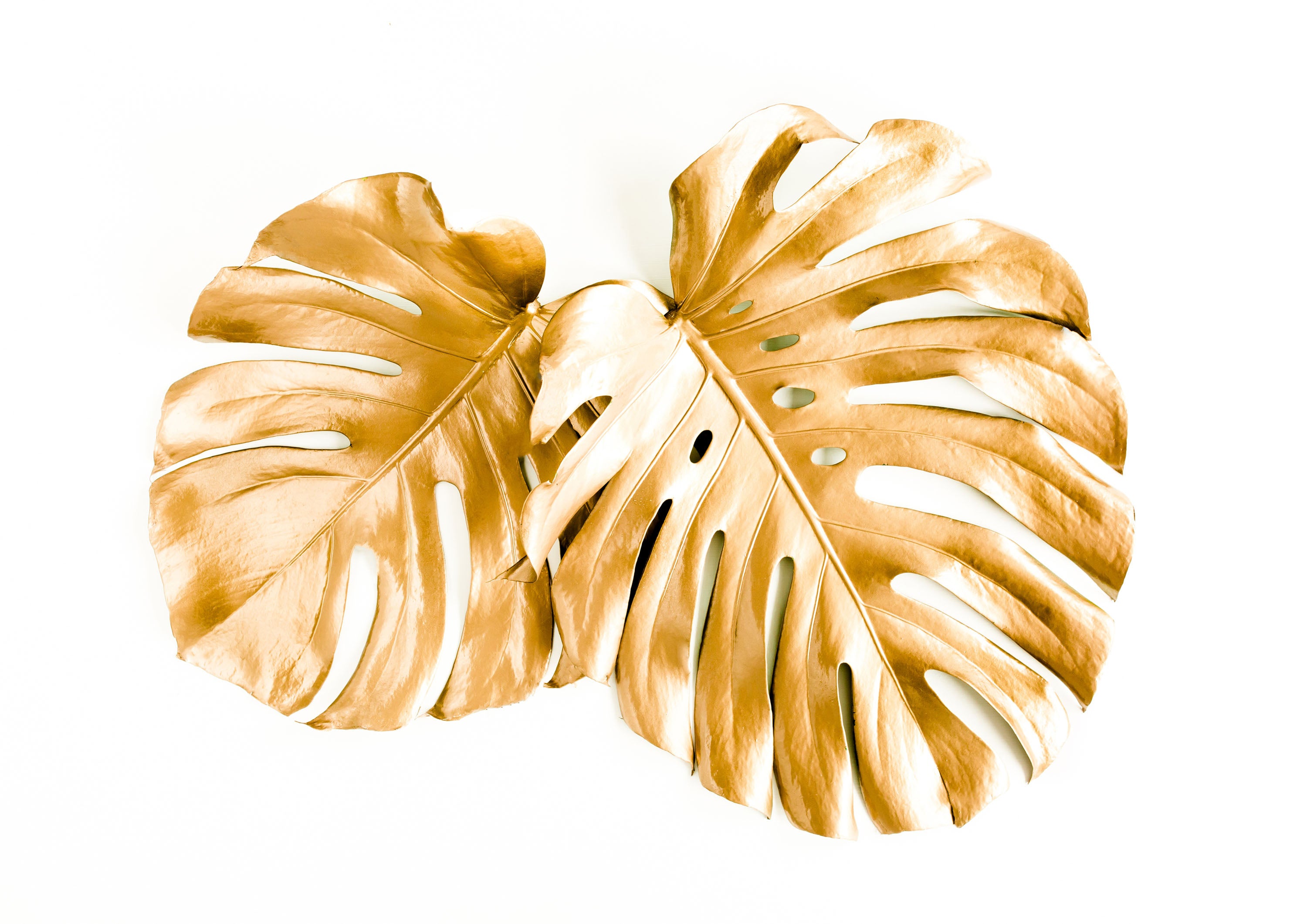 Blanco y Dorado 010 - cuadro decorativo en canvas