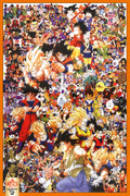 Dragon Ball 011