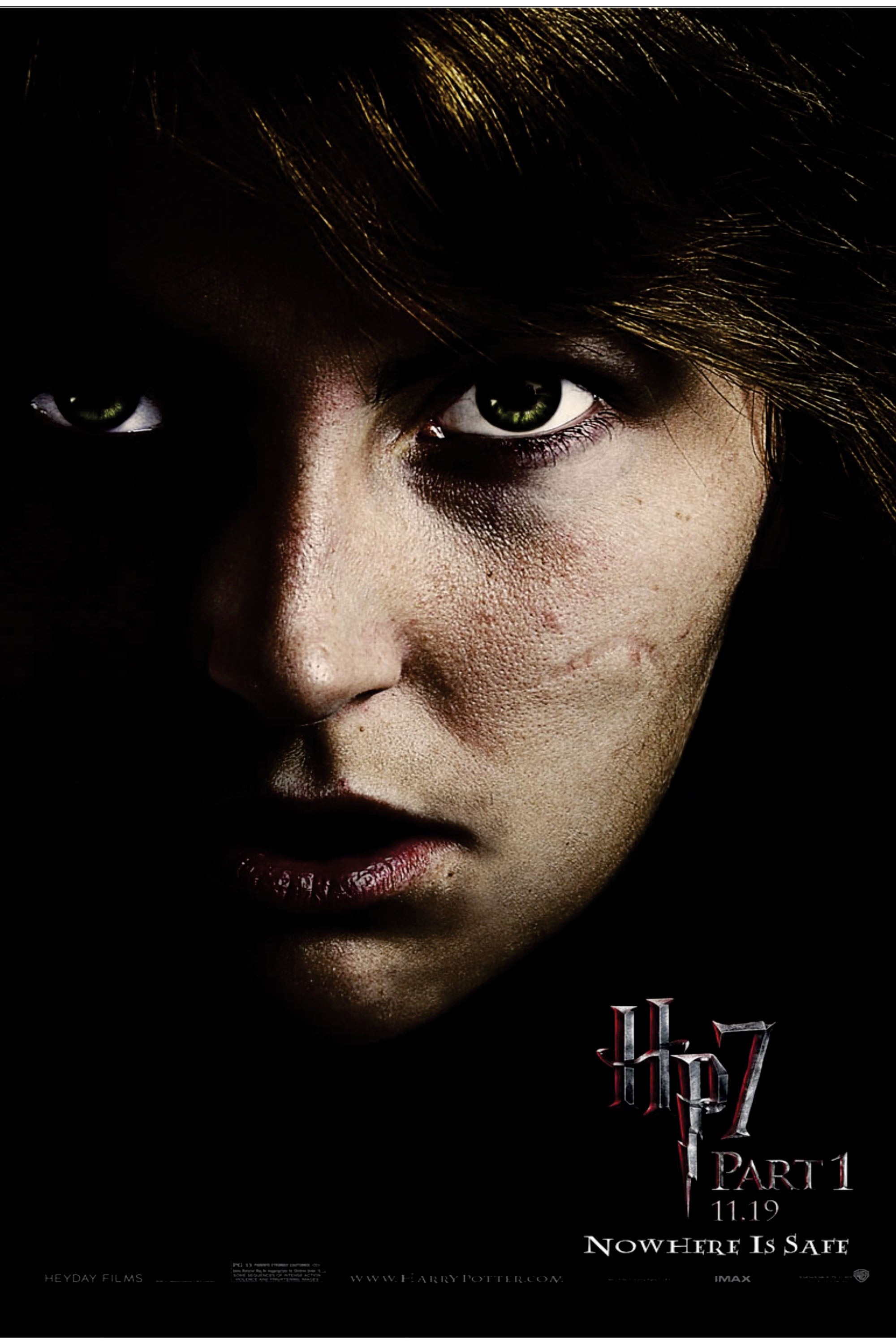 Harry Potter 022 - cuadro decorativo en canvas