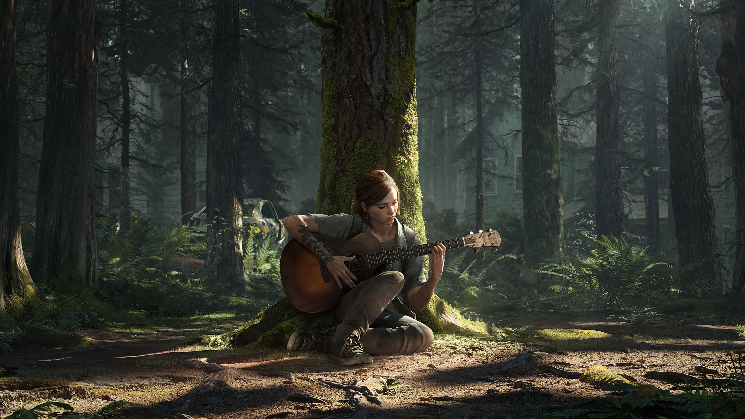 The Last Of Us 015 - cuadro gamer decorativo en canvas