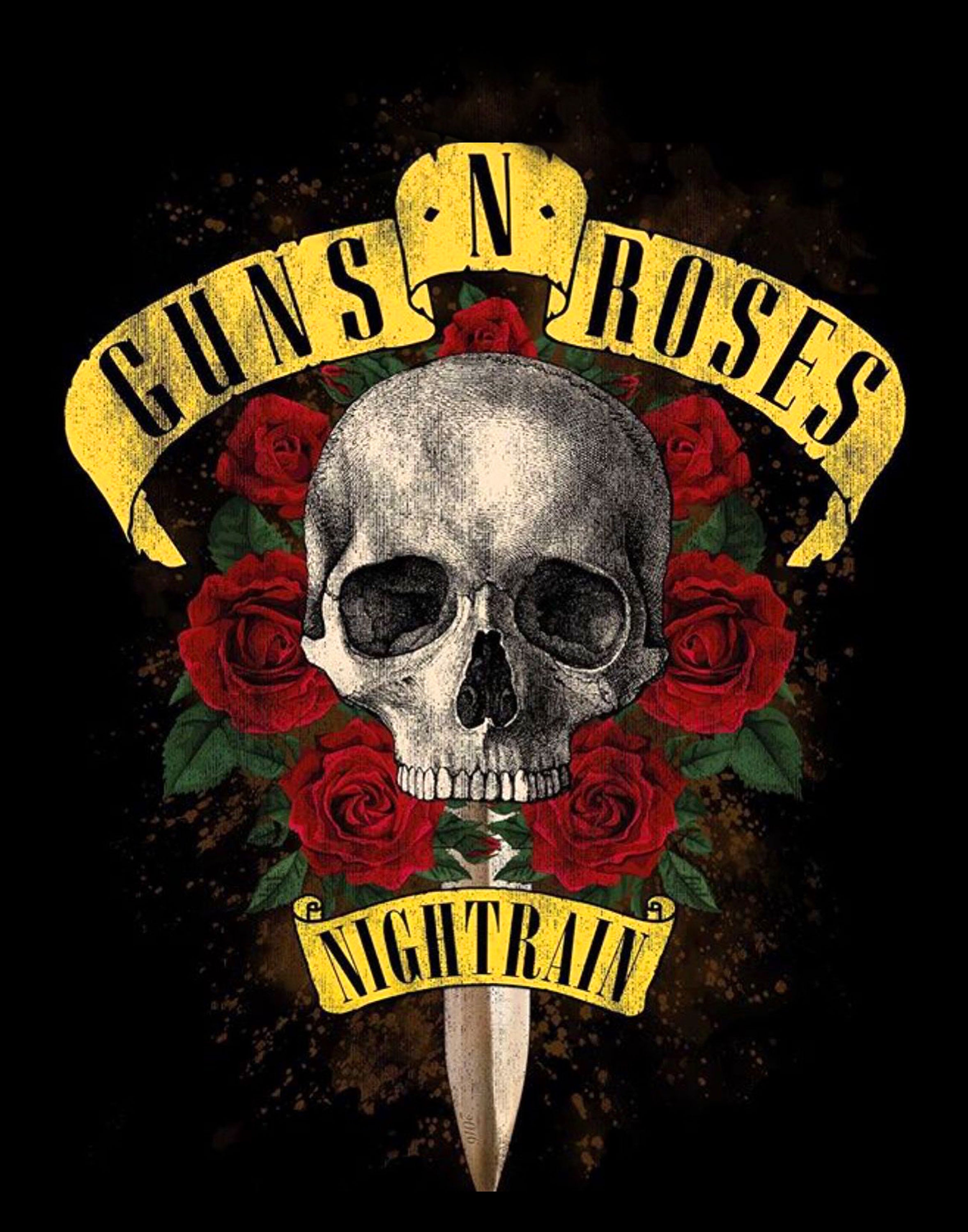 Guns N' Roses 003 - cuadro decorativo en canvas