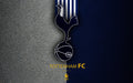 Tottenham 010 - cuadro decorativo en canvas