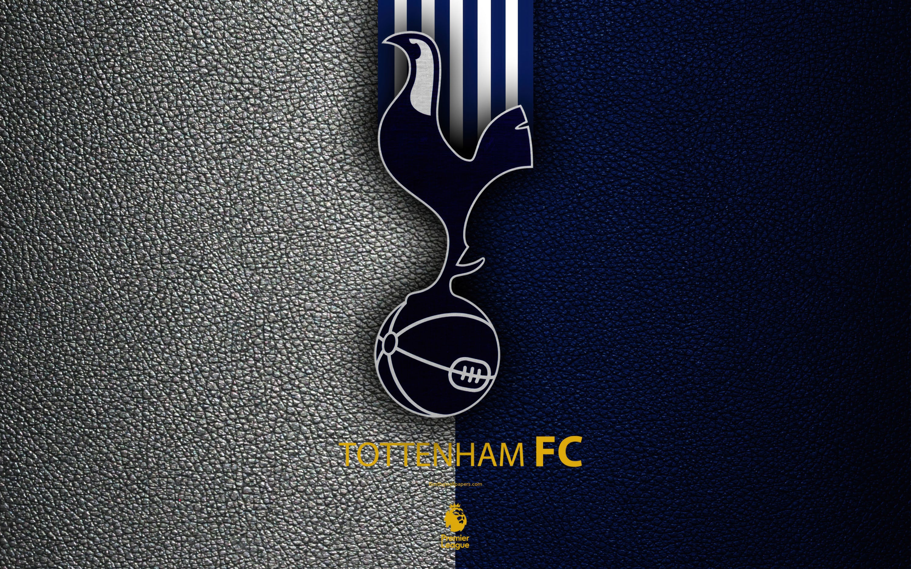 Tottenham 010 - cuadro decorativo en canvas