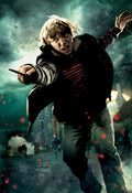 Harry Potter 044 - cuadro decorativo en canvas