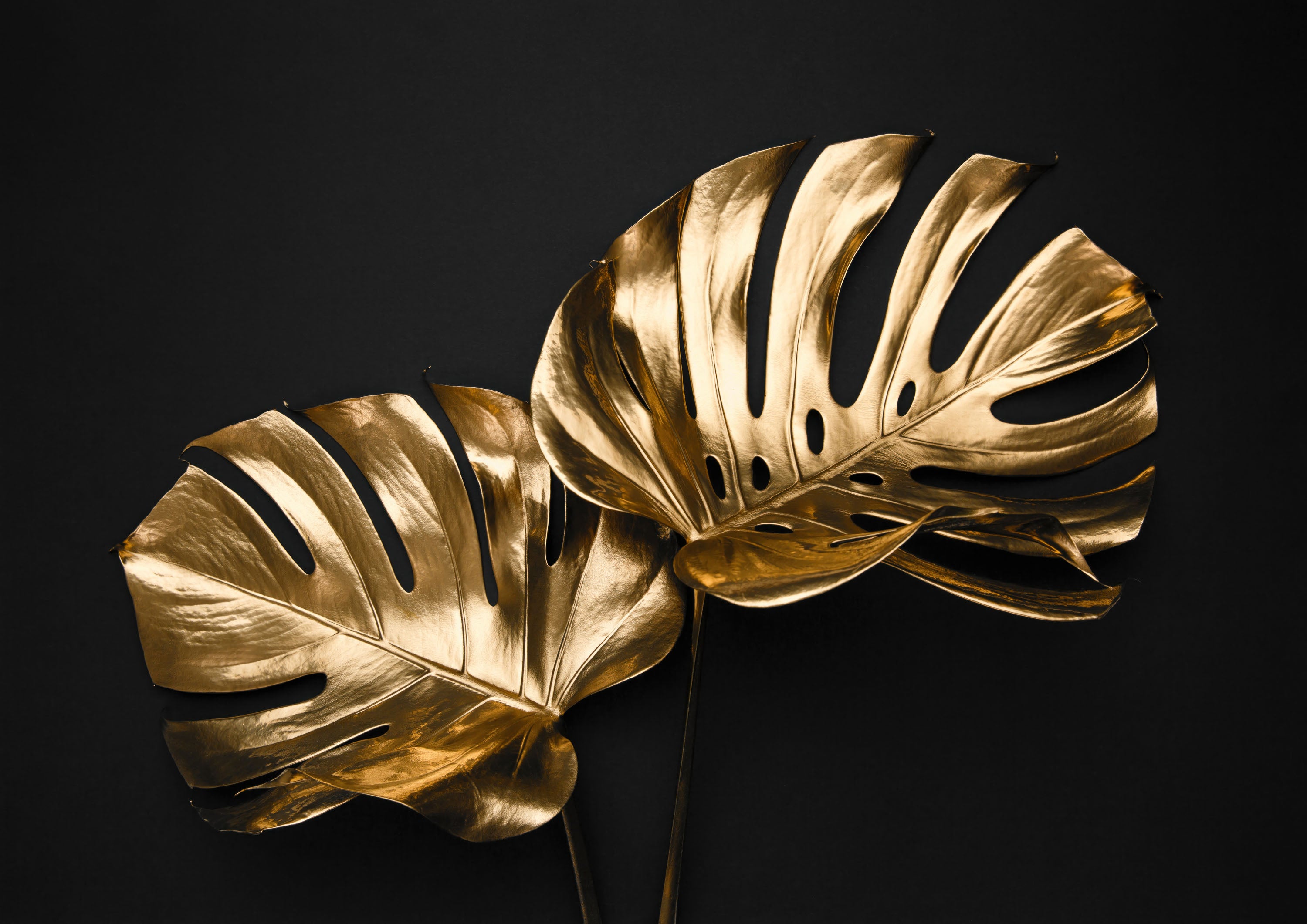 Negro y Dorado 061 - cuadro decorativo en canvas