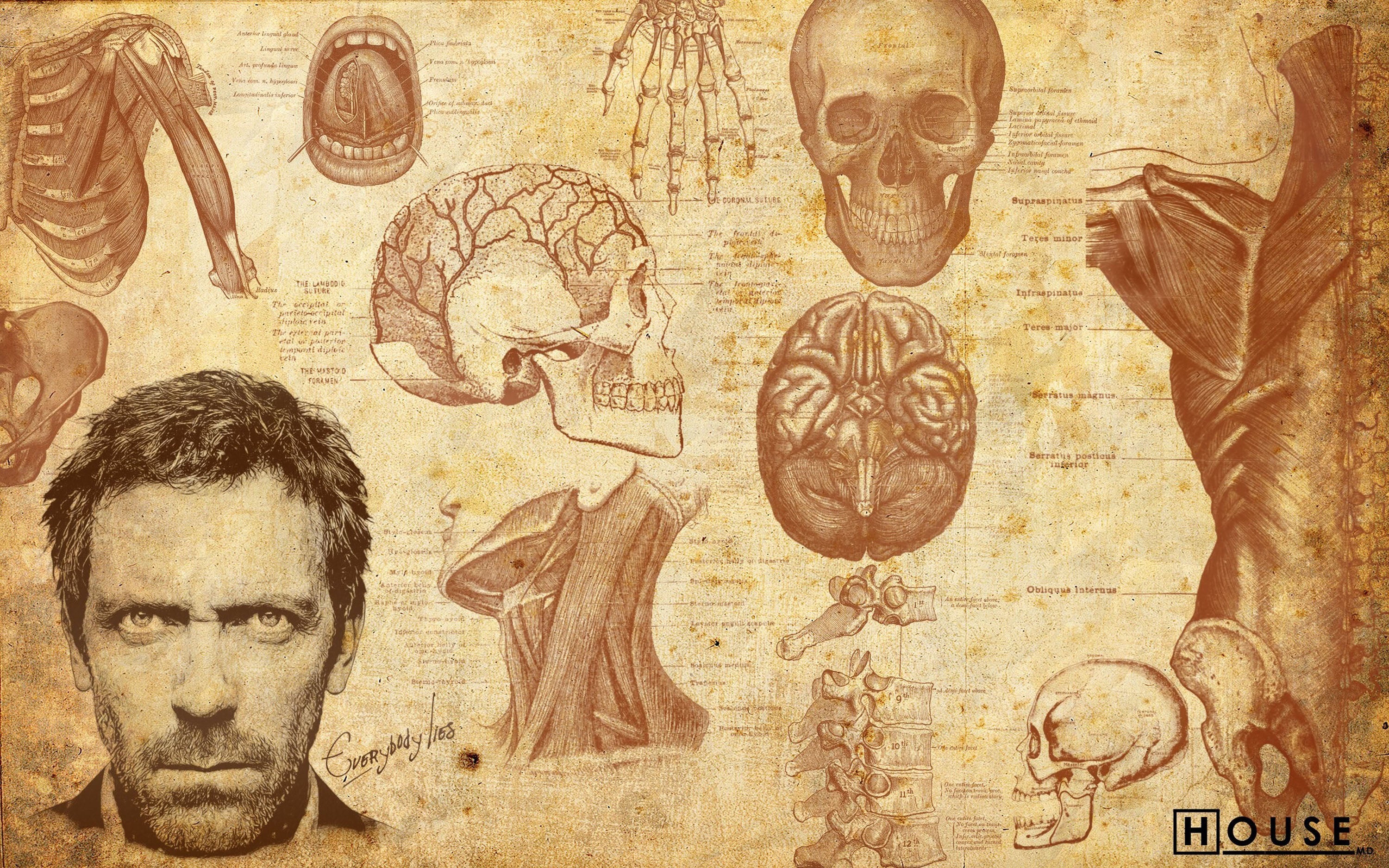 Dr. House 003 - cuadro decorativo en canvas